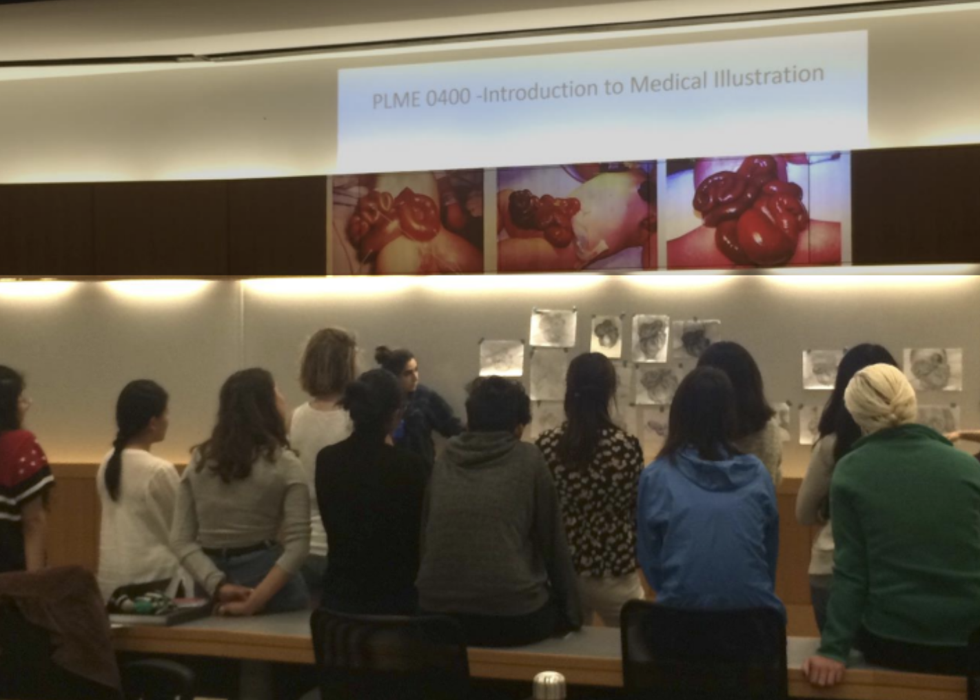 Students at a PLME0400 lecture