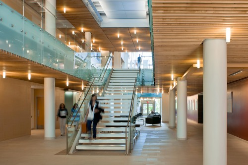 medical school stairway