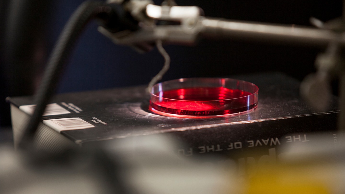 Requirements Program in Liberal Medical Education Medical School