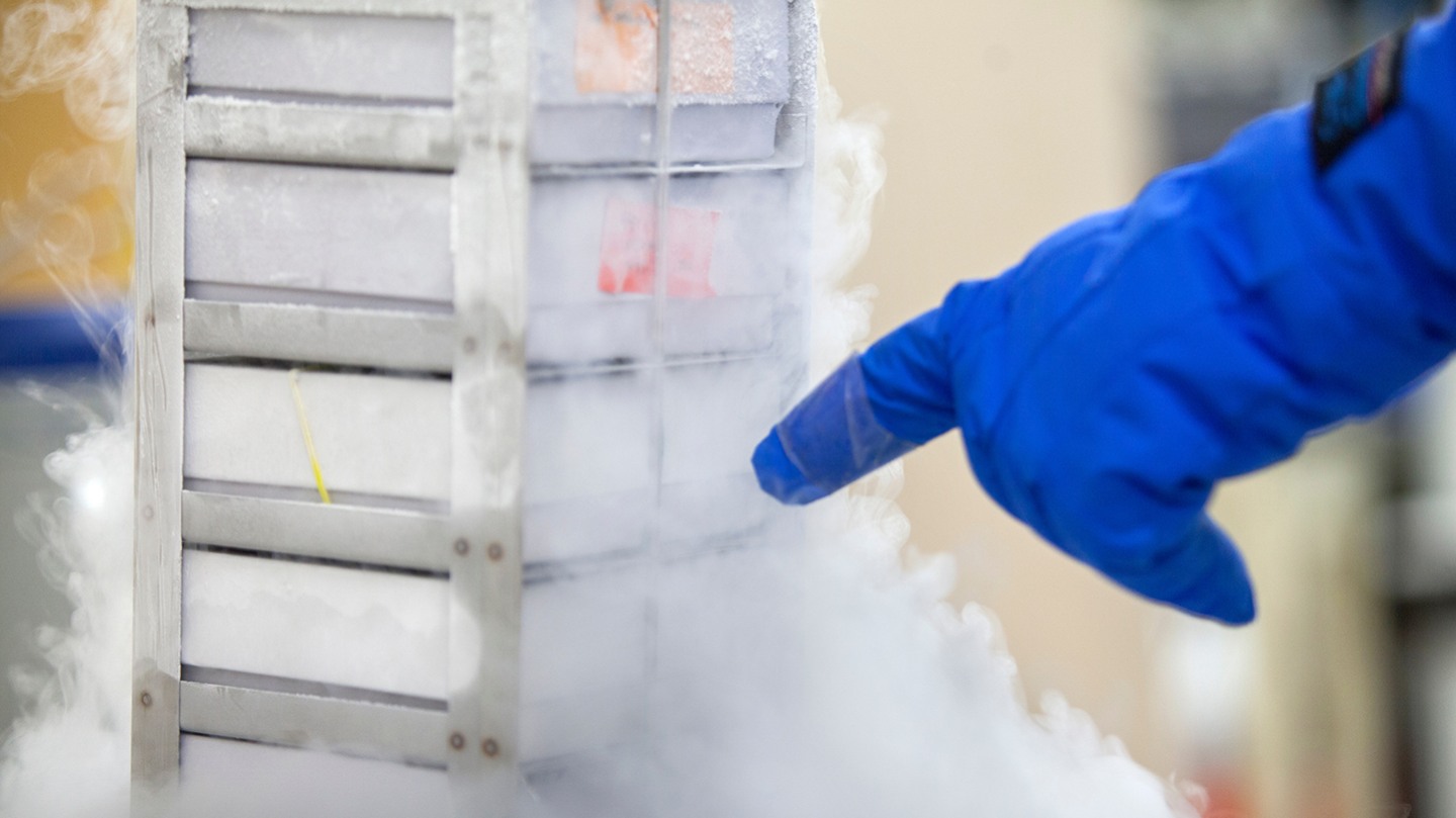 Deadlines Program in Liberal Medical Education Medical School Brown University