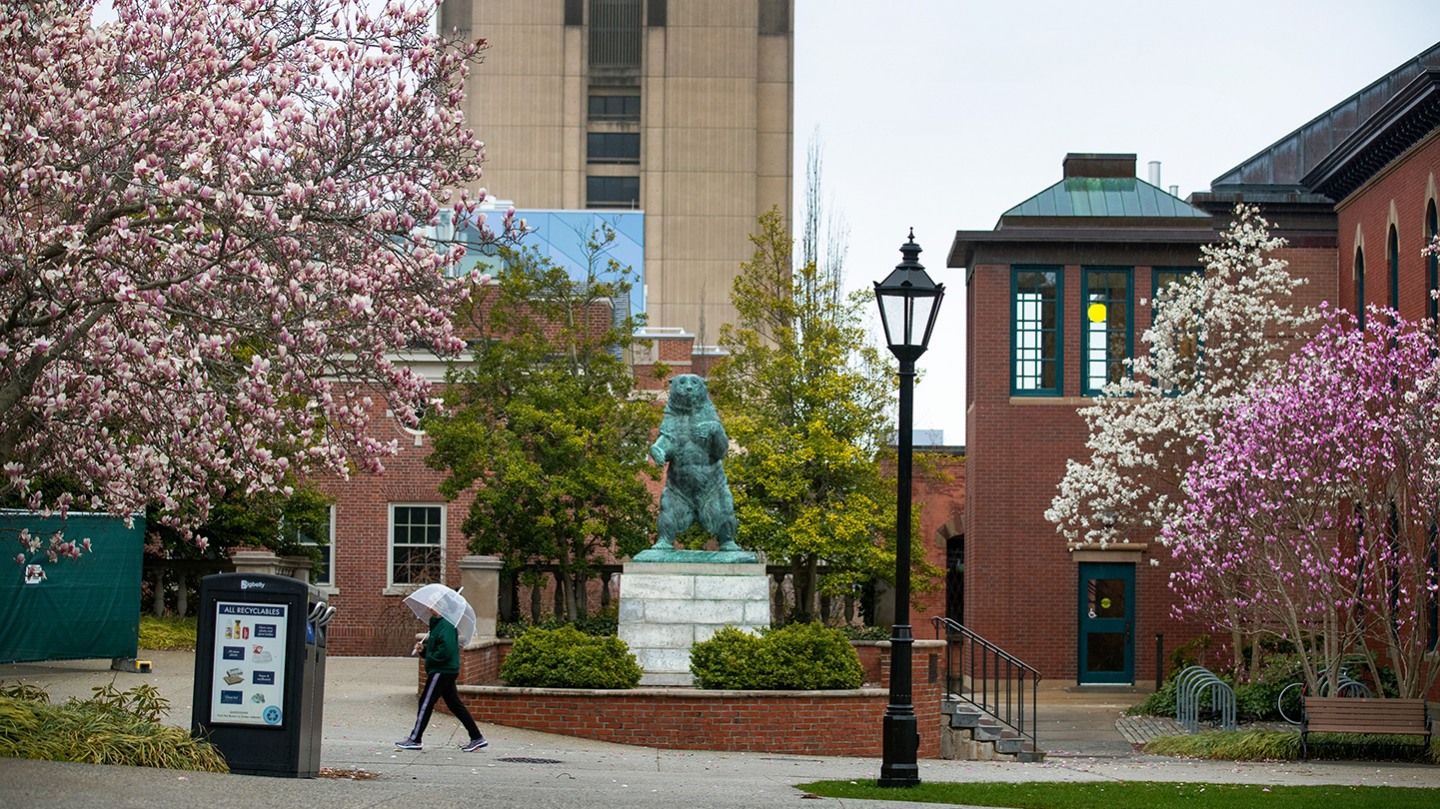 Enrichment Activities Program in Liberal Medical Education Medical